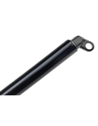 ΑΜΟΡΤΙΣΕΡ ΠΟΡΤ ΜΠΑΓΚΑΖ ΓΙΑ BMW ΣΕΙΡΑ  7 E38 94-01 310mm/640N orig.51248171480