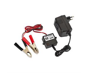 Φορτιστής Μπαταρίας 12V 300mA Uni Trainer
