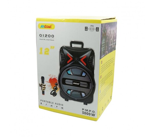 ΦΟΡΗΤΟ ΗΧΕΙΟ ΜΕ ΜΙΚΡΟΦΩΝΟ 12" 5000W Q1200