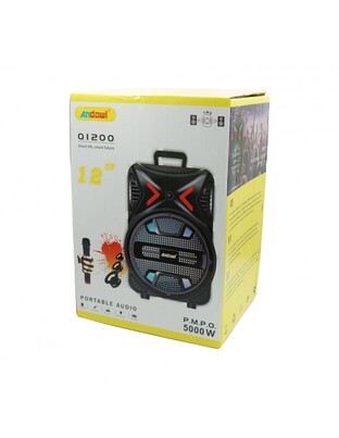 ΦΟΡΗΤΟ ΗΧΕΙΟ ΜΕ ΜΙΚΡΟΦΩΝΟ 12" 5000W Q1200