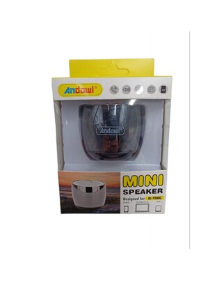 mini ΑΣΥΡΜΑΤΟ ΗΧΕΙΑΚΙ ANDOWL Q-YX8C