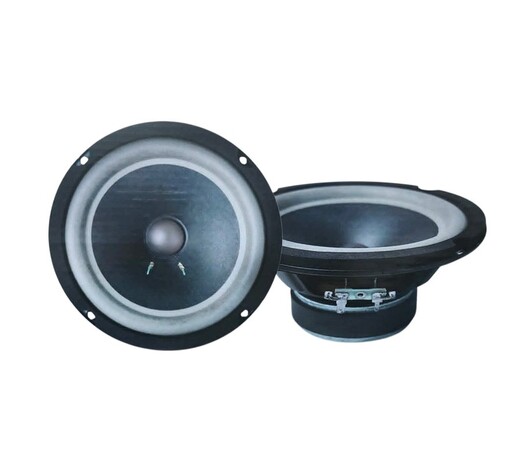 ΣΕΤ ΗΧΕΙΑ ΑΥΤΟΚΙΝΗΤΟΥ 6.5" 300W RLG-6569A