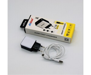 TYPE-C ΦΟΡΤΙΣΤΗΣ 2.1A ANDOWL PH-AN-4128