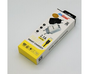 TYPE-C ΦΟΡΤΙΣΤΗΣ 2.1A ANDOWL PH-AN-4129