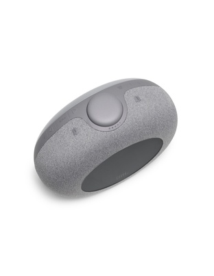 JBL HORIZON 2 (GREY)