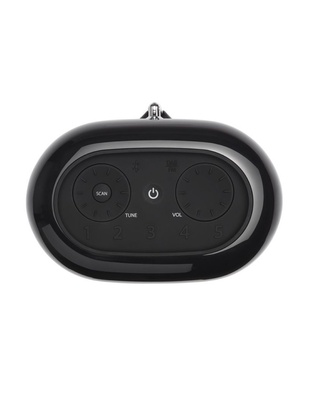 JBL TUNER XL