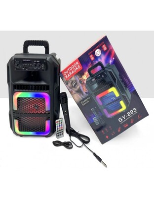 ΦΟΡΗΤΟ ΗΧΕΙΟ 8'' SUPER BASS GY-803
