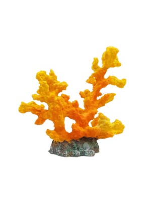 ΔΙΑΚΟΣΜΗΤΙΚΟ ΚΟΡΑΛΙ 16cm ΓΙΑ ΕΝΥΔΡΕΙΑ TY-03003