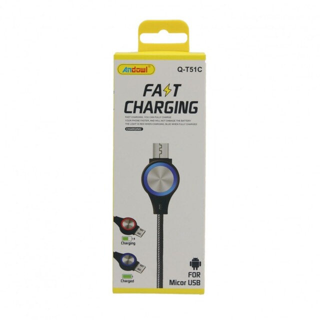 ΓΡΗΓΟΡΟΣ ΦΟΡΤΙΣΤΗΣ ANDOWL ΜΕ Micro USB Q-T51C