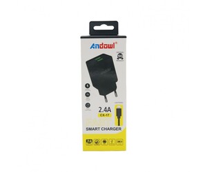 ΦΟΡΤΙΣΤΗΣ SMART CHARGER TYPE-C 2.4A ANDOWL AN-CX-17type-c